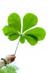 Similar image 2840253