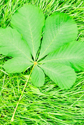 Similar image 2840257