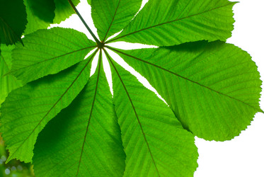 Similar image 2840258