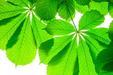 Similar image 2840259