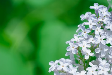 Similar image 2840260