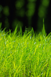 Similar image 2840261