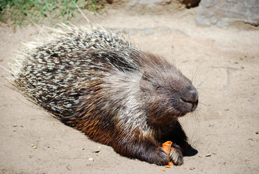 Similar image 2840264