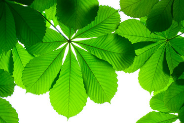 Similar image 2840266