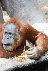 Similar image 2840268