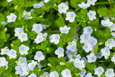 Similar image 2840269