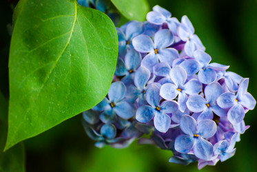 Similar image 2840270