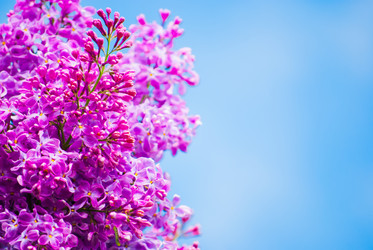 Similar image 2840271