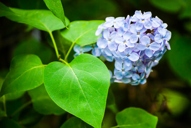 Similar image 2840278