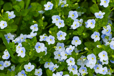 Similar image 2840280