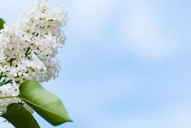 Similar image 2840284