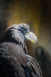 Similar image 2840285