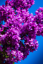 Similar image 2840302