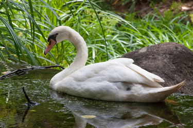 Similar image 2840638