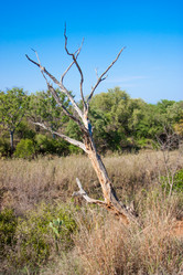 Similar image 2840640