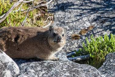 Similar image 2840645