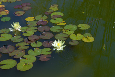 Similar image 2840646