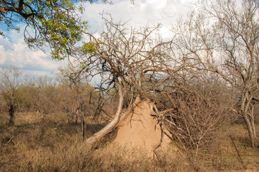 Similar image 2840647