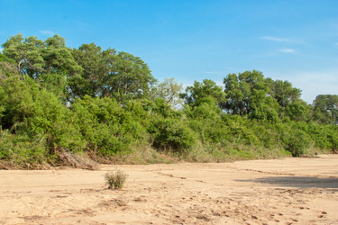 Similar image 2840648