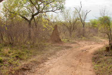 Similar image 2840652