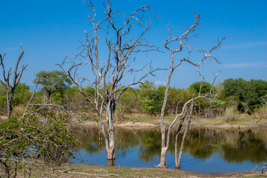 Similar image 2840653