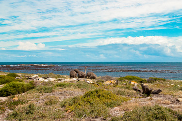 Similar image 2840691