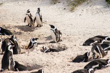 Similar image 2840697