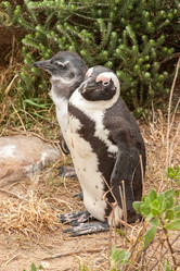 Similar image 2840711