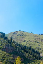 Similar image 2840731