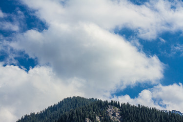 Similar image 2840746