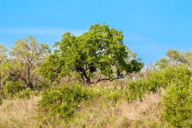 Similar image 2840796