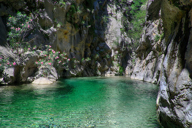 Similar image 2841001