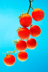 Similar image 2841044