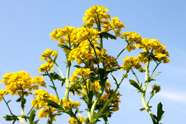 Similar image 2841047