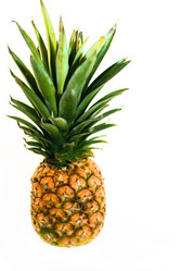 Similar image 2841054