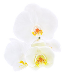 Similar image 2841061