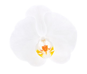 Similar image 2841062