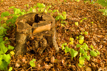 Similar image 2841078