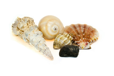 Similar image 2841087