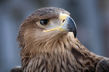 Similar image 2841107