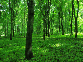 Similar image 2841129