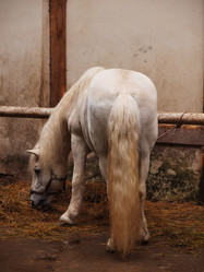 Similar image 2841131