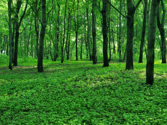 Similar image 2841132