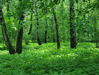 Similar image 2841133