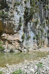 Similar image 2841165