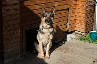 Similar image 2841197