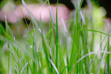 Similar image 2841258