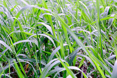 Similar image 2841260