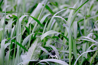 Similar image 2841272