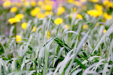 Similar image 2841273